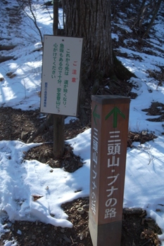登山道