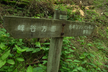 登山道