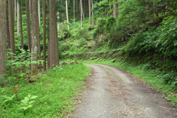 登山道