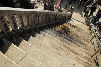 コンドロイチンZS