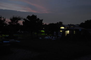 若洲公園キャンプ場