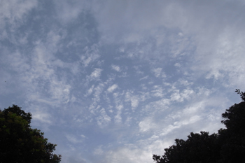 若洲公園キャンプ場