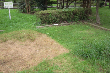 若洲公園キャンプ場